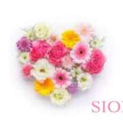 ヒメ日記 2025/05/23 07:55 投稿 しおん(人妻) THE・TRY