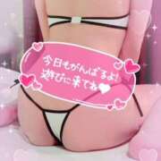 ヒメ日記 2025/09/11 09:08 投稿 しおん(人妻) THE・TRY