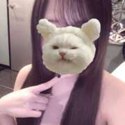 ヒメ日記 2025/04/24 22:05 投稿 れあ 性の極み 技の伝道師 ver. 匠