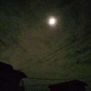 ヒメ日記 2025/07/20 12:20 投稿 まき チェリーデイズ新宿店