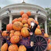 ヒメ日記 2025/01/23 22:45 投稿 こはく　ゴールド+3 CLUB虎の穴 福岡店