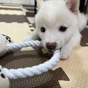 ヒメ日記 2025/07/12 01:09 投稿 こはく　ゴールド+3 CLUB虎の穴 福岡店