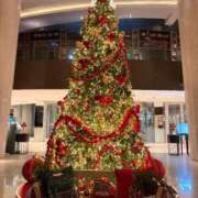 ヒメ日記 2025/11/26 20:22 投稿 こはく　ゴールド+3 CLUB虎の穴 福岡店