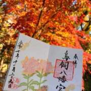 ヒメ日記 2025/11/29 19:02 投稿 こはく　ゴールド+3 CLUB虎の穴 福岡店