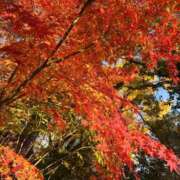 ヒメ日記 2025/12/11 05:00 投稿 こはく　ゴールド+3 CLUB虎の穴 福岡店