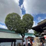 こはく　ゴールド+3 🔚💕 CLUB虎の穴 福岡店