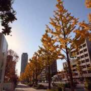 ヒメ日記 2026/01/10 19:02 投稿 こはく　ゴールド+3 CLUB虎の穴 福岡店