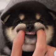 ヒメ日記 2026/01/24 19:02 投稿 こはく　ゴールド+3 CLUB虎の穴 福岡店