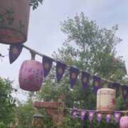 ヒメ日記 2024/12/10 21:25 投稿 いろは 横浜おかあさん