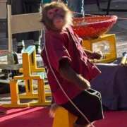 ヒメ日記 2024/12/15 21:25 投稿 いろは 横浜おかあさん