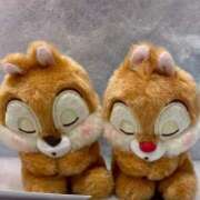 ヒメ日記 2024/12/21 09:25 投稿 いろは 横浜おかあさん