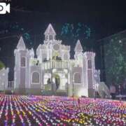 ヒメ日記 2024/12/23 20:45 投稿 いろは 横浜おかあさん