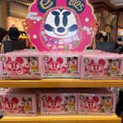 ヒメ日記 2024/12/29 22:45 投稿 いろは 横浜おかあさん