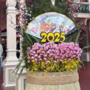 ヒメ日記 2025/01/01 10:25 投稿 いろは 横浜おかあさん