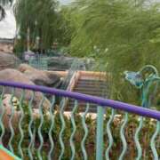 ヒメ日記 2025/02/08 09:55 投稿 いろは 横浜おかあさん