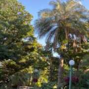 ヒメ日記 2025/02/15 09:32 投稿 いろは 横浜おかあさん