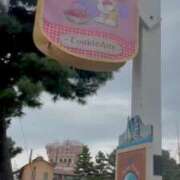 ヒメ日記 2025/03/01 22:35 投稿 いろは 横浜おかあさん