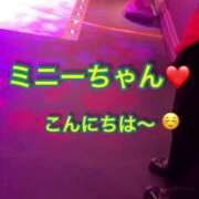 ヒメ日記 2025/03/02 19:54 投稿 いろは 横浜おかあさん