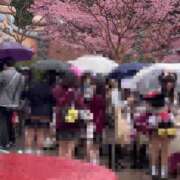 ヒメ日記 2025/03/13 20:55 投稿 いろは 横浜おかあさん