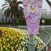 ヒメ日記 2025/04/05 09:46 投稿 いろは 横浜おかあさん