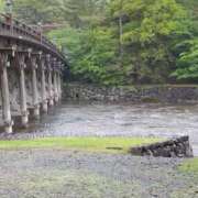 ヒメ日記 2025/05/03 09:19 投稿 いろは 横浜おかあさん