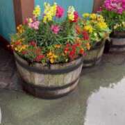 ヒメ日記 2025/05/10 09:05 投稿 いろは 横浜おかあさん