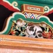 ヒメ日記 2025/05/20 20:35 投稿 いろは 横浜おかあさん