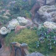 ヒメ日記 2025/05/24 09:05 投稿 いろは 横浜おかあさん