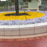 ヒメ日記 2025/05/31 09:15 投稿 いろは 横浜おかあさん