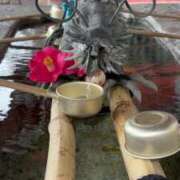 ヒメ日記 2025/06/02 21:35 投稿 いろは 横浜おかあさん