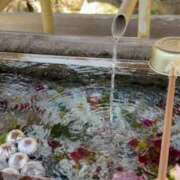 ヒメ日記 2025/06/18 09:15 投稿 いろは 横浜おかあさん