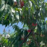 ヒメ日記 2025/08/25 20:35 投稿 いろは 横浜おかあさん