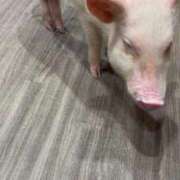 ヒメ日記 2025/09/03 23:05 投稿 いろは 横浜おかあさん