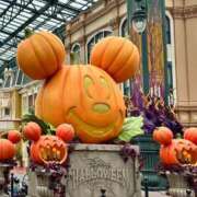 ヒメ日記 2025/09/20 09:26 投稿 いろは 横浜おかあさん