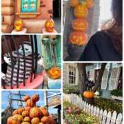 ヒメ日記 2025/10/22 22:05 投稿 いろは 横浜おかあさん