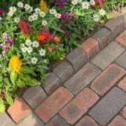 ヒメ日記 2025/10/29 09:25 投稿 いろは 横浜おかあさん