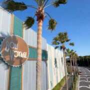 ヒメ日記 2025/11/03 22:25 投稿 いろは 横浜おかあさん