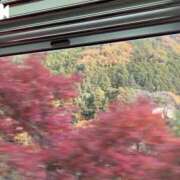 ヒメ日記 2025/11/22 22:35 投稿 いろは 横浜おかあさん