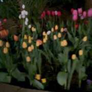 ヒメ日記 2026/01/31 21:35 投稿 いろは 横浜おかあさん