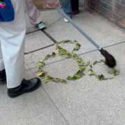 ヒメ日記 2026/02/18 22:15 投稿 いろは 横浜おかあさん