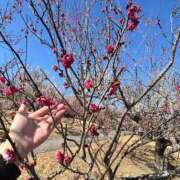 ヒメ日記 2026/02/28 21:35 投稿 いろは 横浜おかあさん