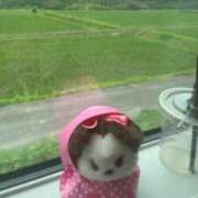 ヒメ日記 2026/07/04 22:15 投稿 いろは 横浜おかあさん