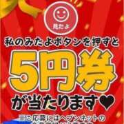 ヒメ日記 2024/12/20 21:02 投稿 あまね Ace(エース)