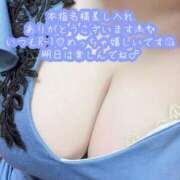 ヒメ日記 2025/02/11 15:46 投稿 あまね Ace(エース)