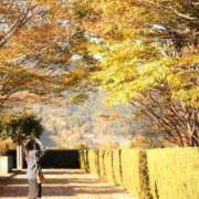 ヒメ日記 2025/09/16 22:19 投稿 あまね Ace(エース)