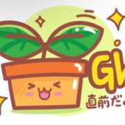 ヒメ日記 2026/04/28 17:00 投稿 あまね Ace(エース)