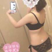 ヒメ日記 2025/04/05 23:39 投稿 しの G-STAGE