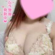 ヒメ日記 2025/05/03 19:19 投稿 しの G-STAGE