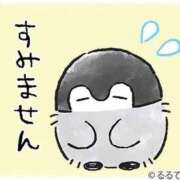 ヒメ日記 2025/11/16 12:09 投稿 しの G-STAGE