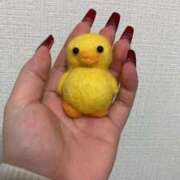 しの 🈹🈹🈹 G-STAGE（京都グループ）